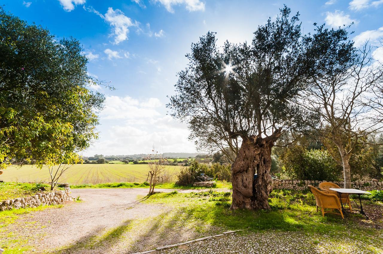 Vila Sa Casa Rotja Sineu  Exteriér fotografie